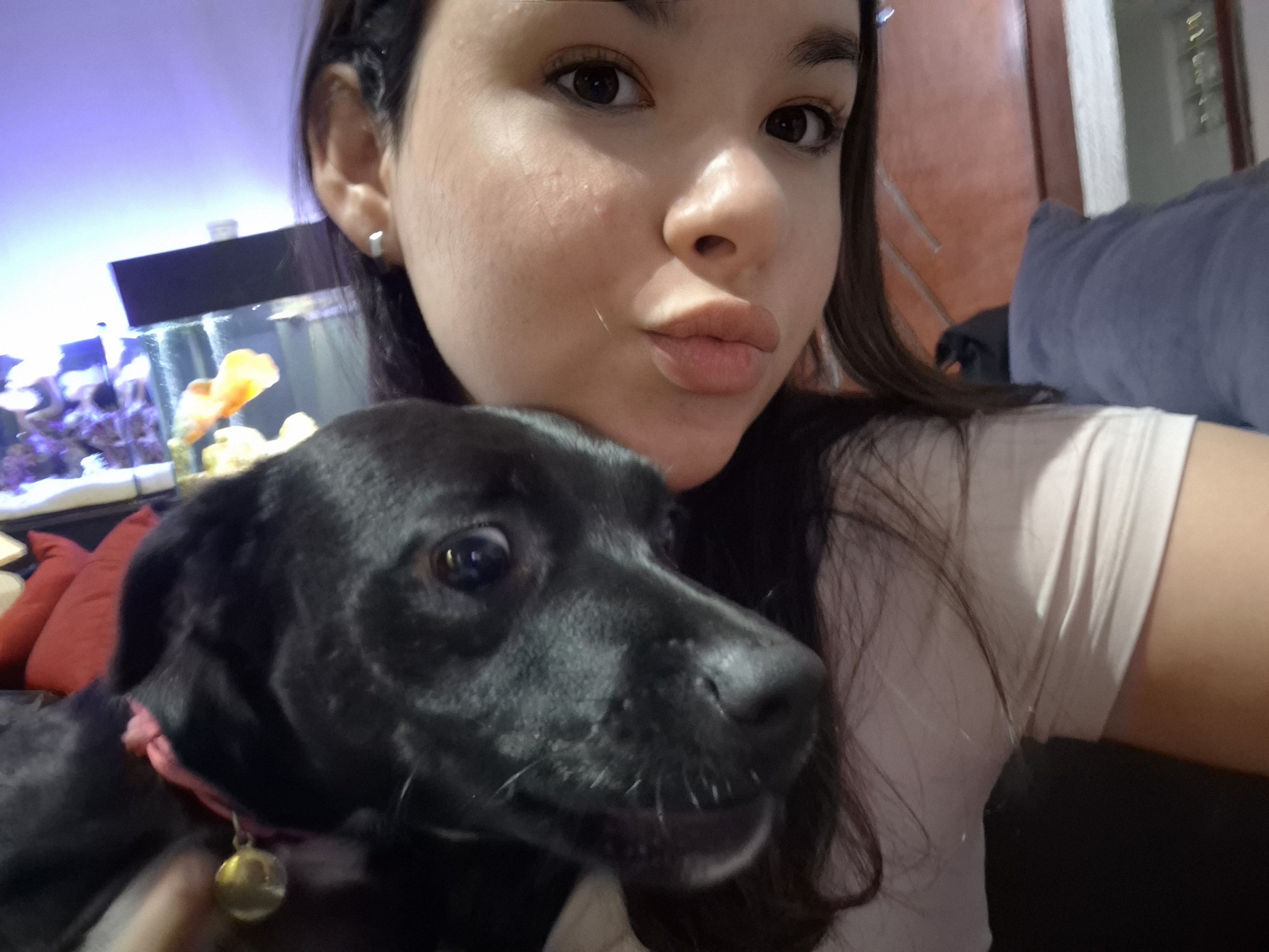 Trabalho de Taynara Cristina — foto 11