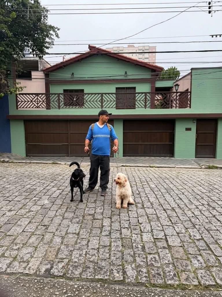 Trabalho de Leonardo Guinzani — foto 2