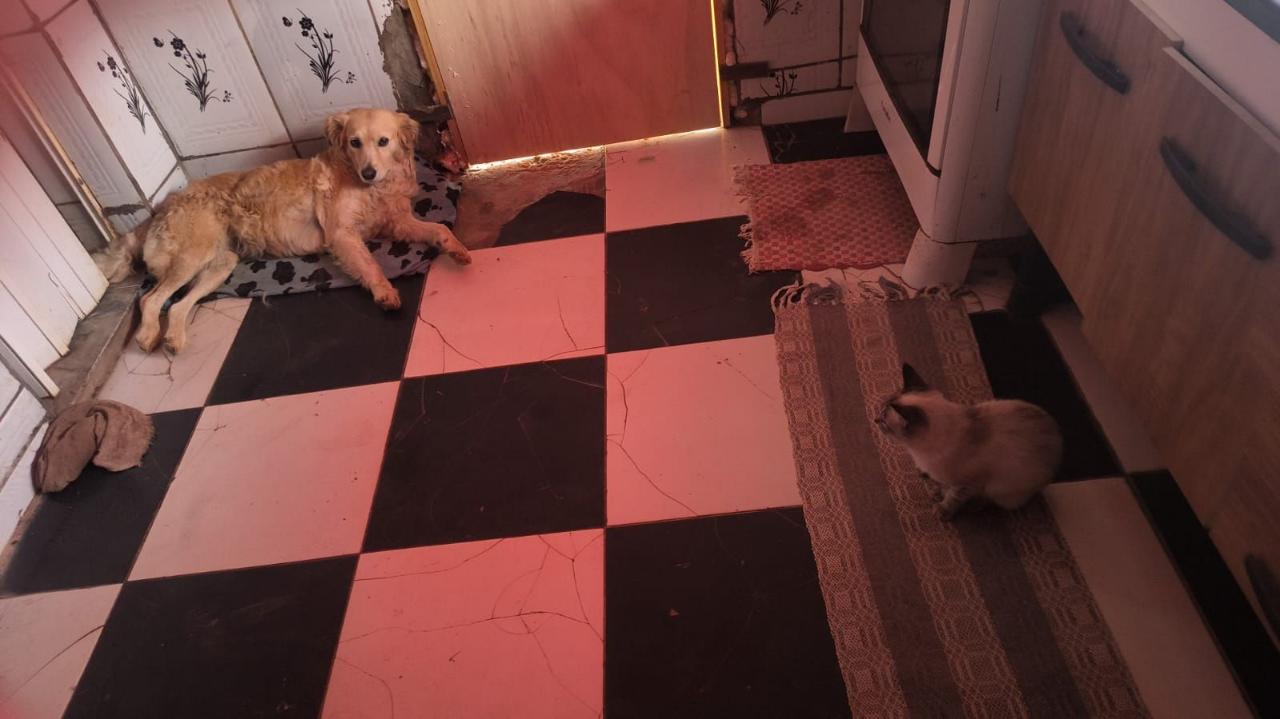 Trabalho de Julia da — foto 1