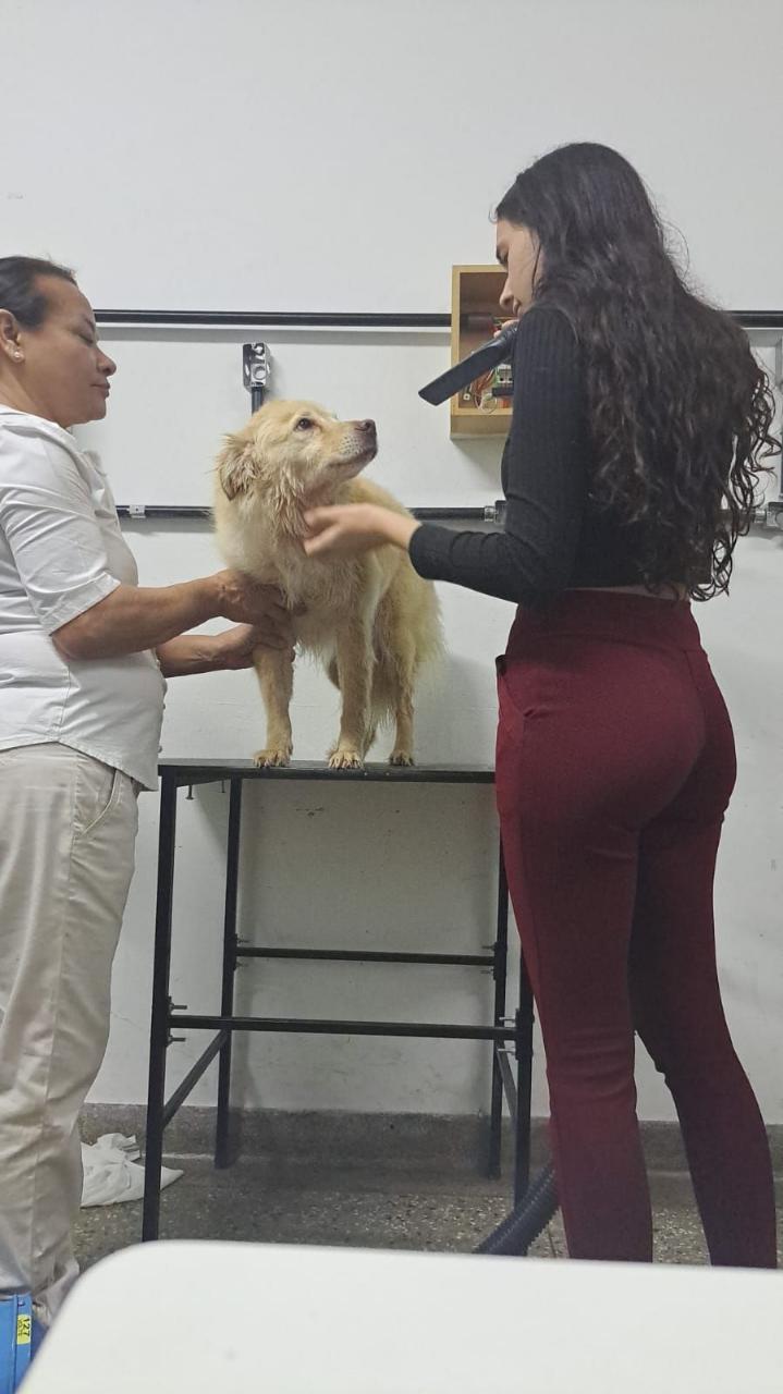 Trabalho de Julia da — foto 3