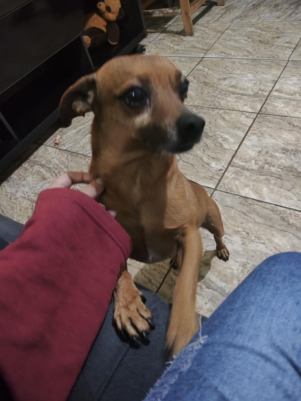 Trabalho de Julia da — foto 4