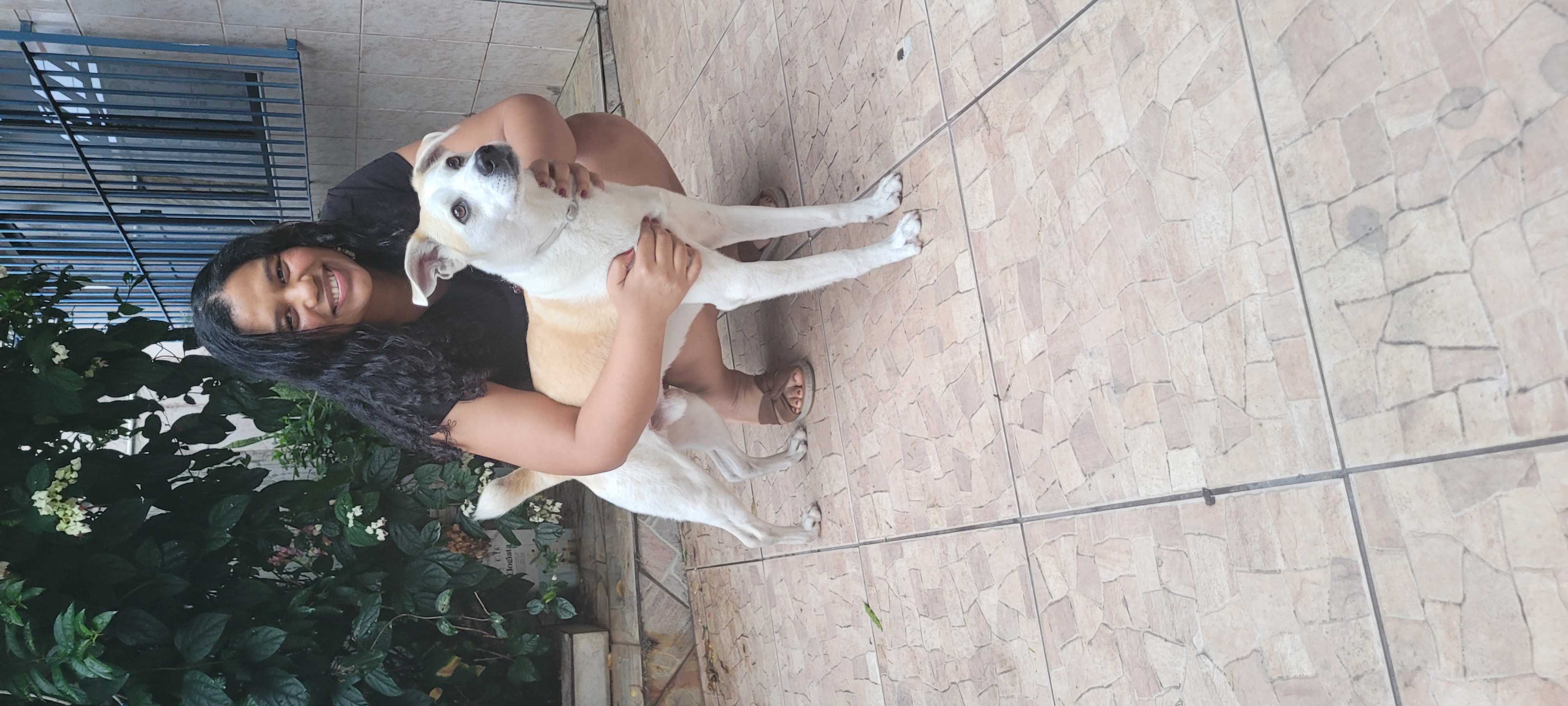 Galeria Gabriele de Kássia Alves Pereira