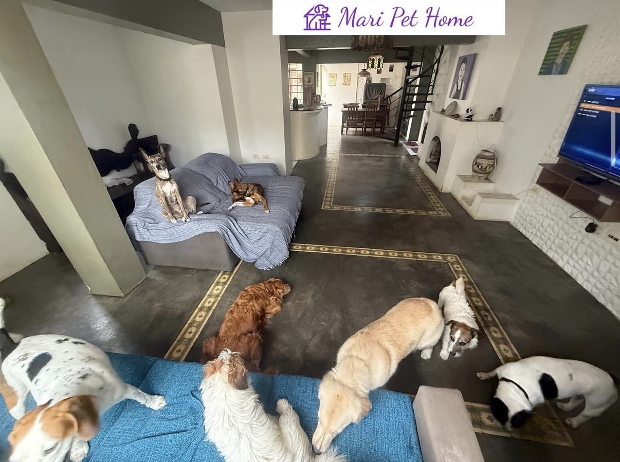 Capa Mariana Salvatore