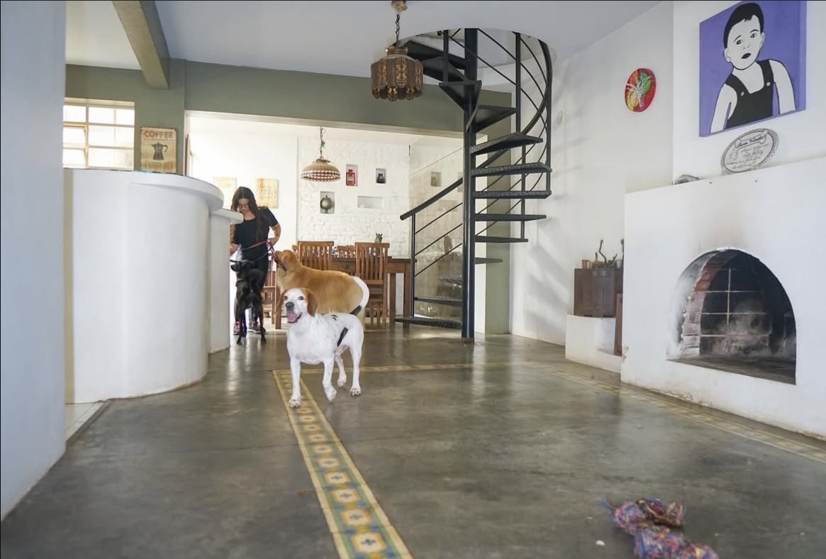 Galeria Mariana Salvatore