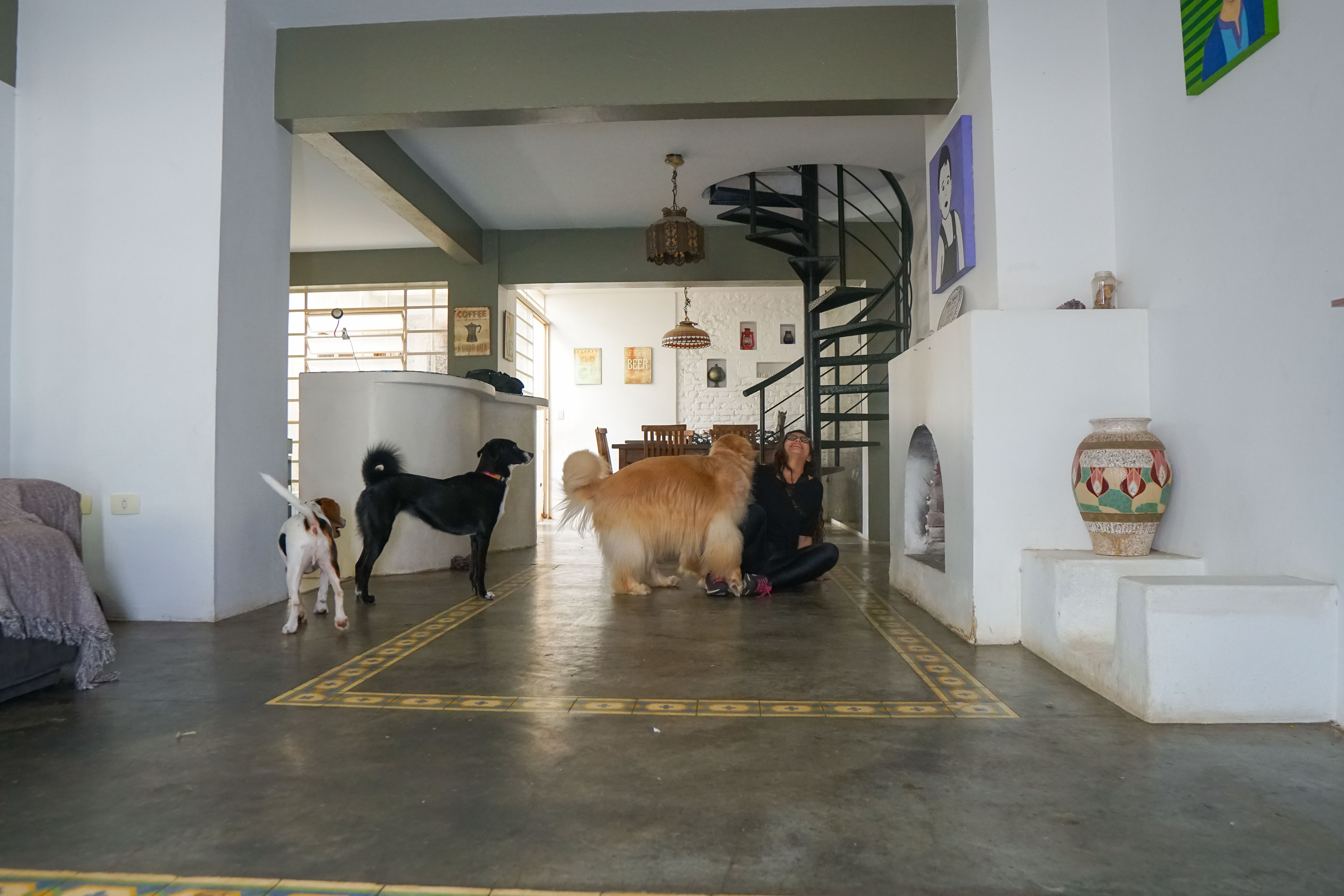 Galeria Mariana Salvatore