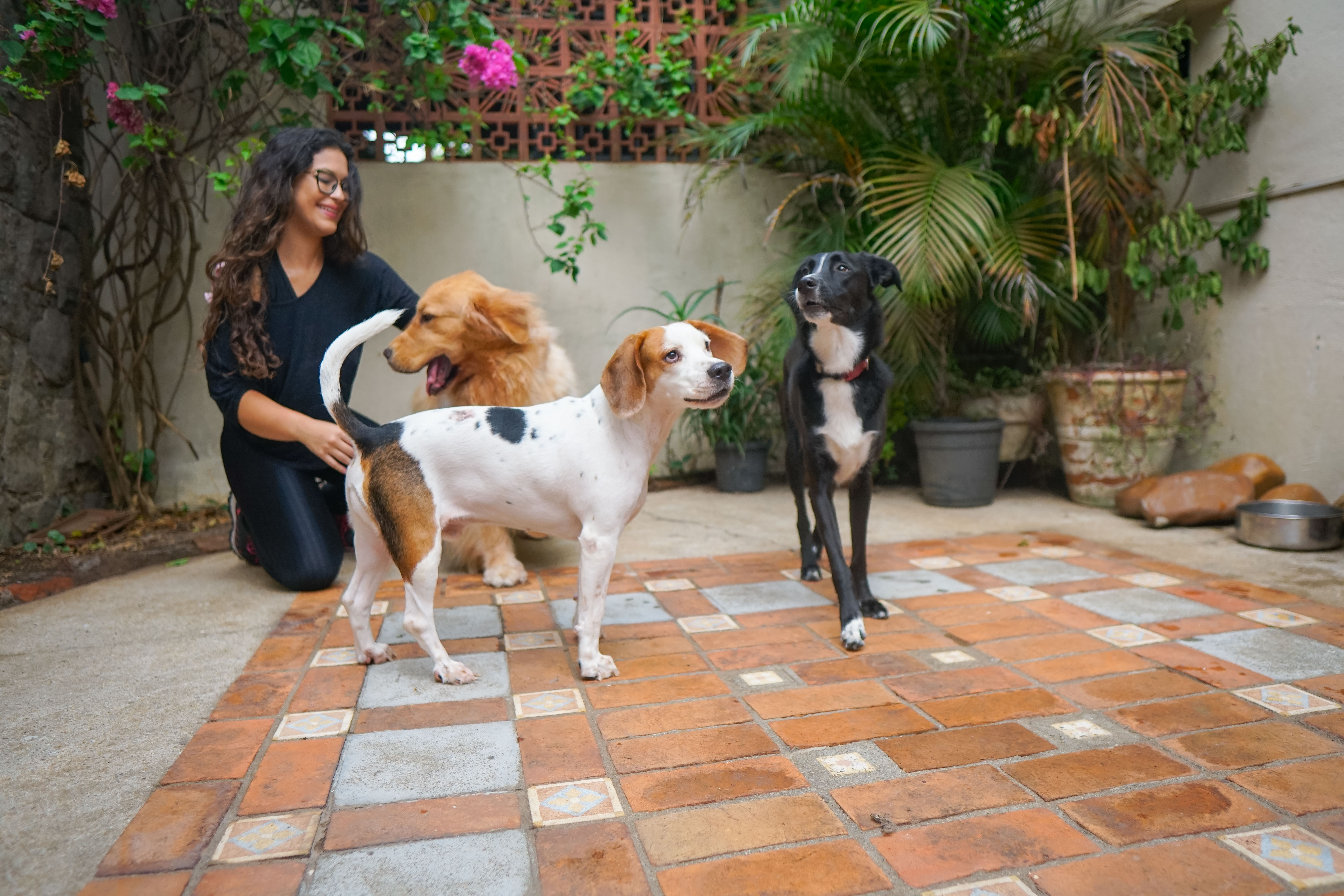 Galeria Mariana Salvatore