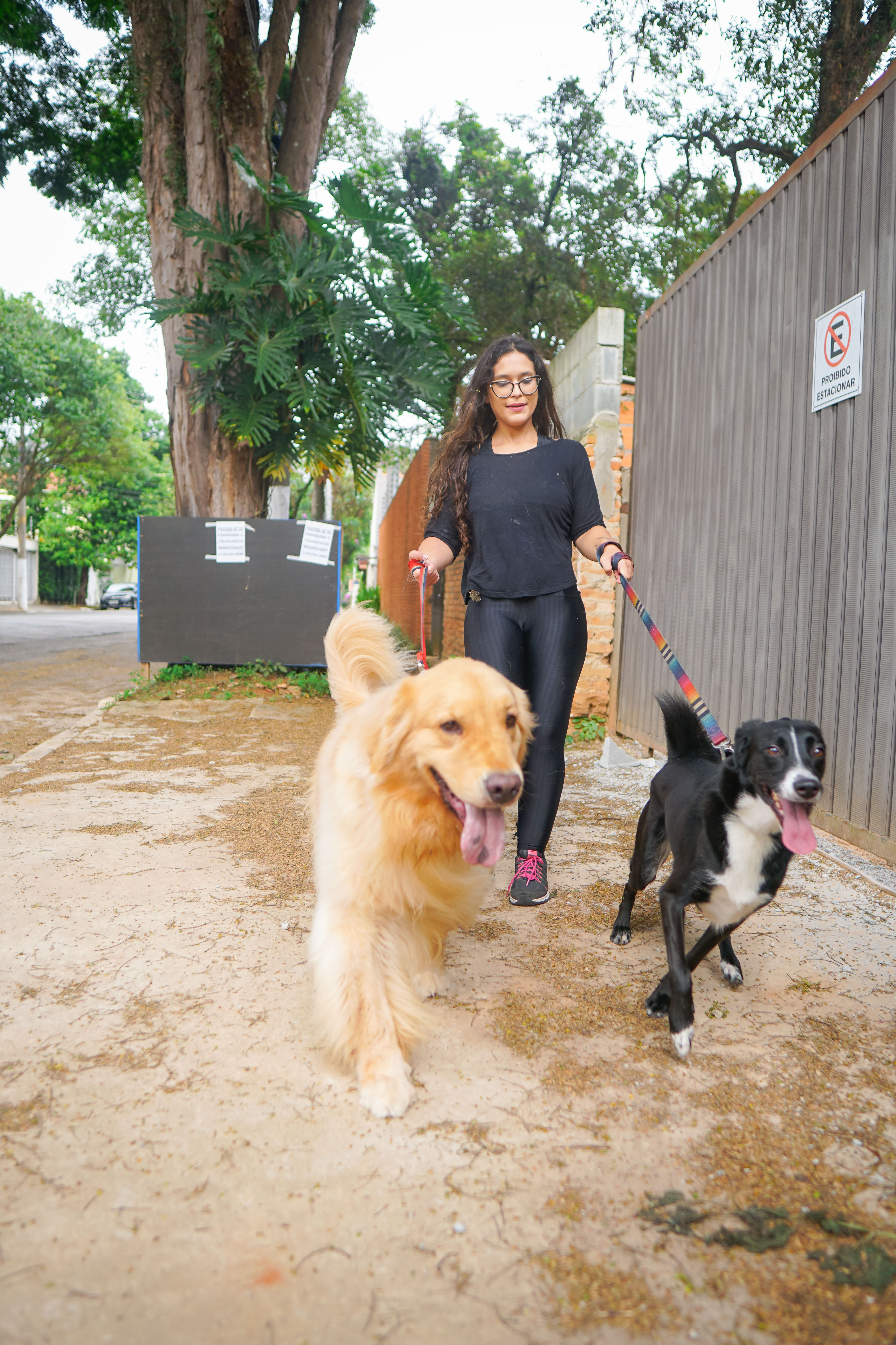 Galeria Mariana Salvatore