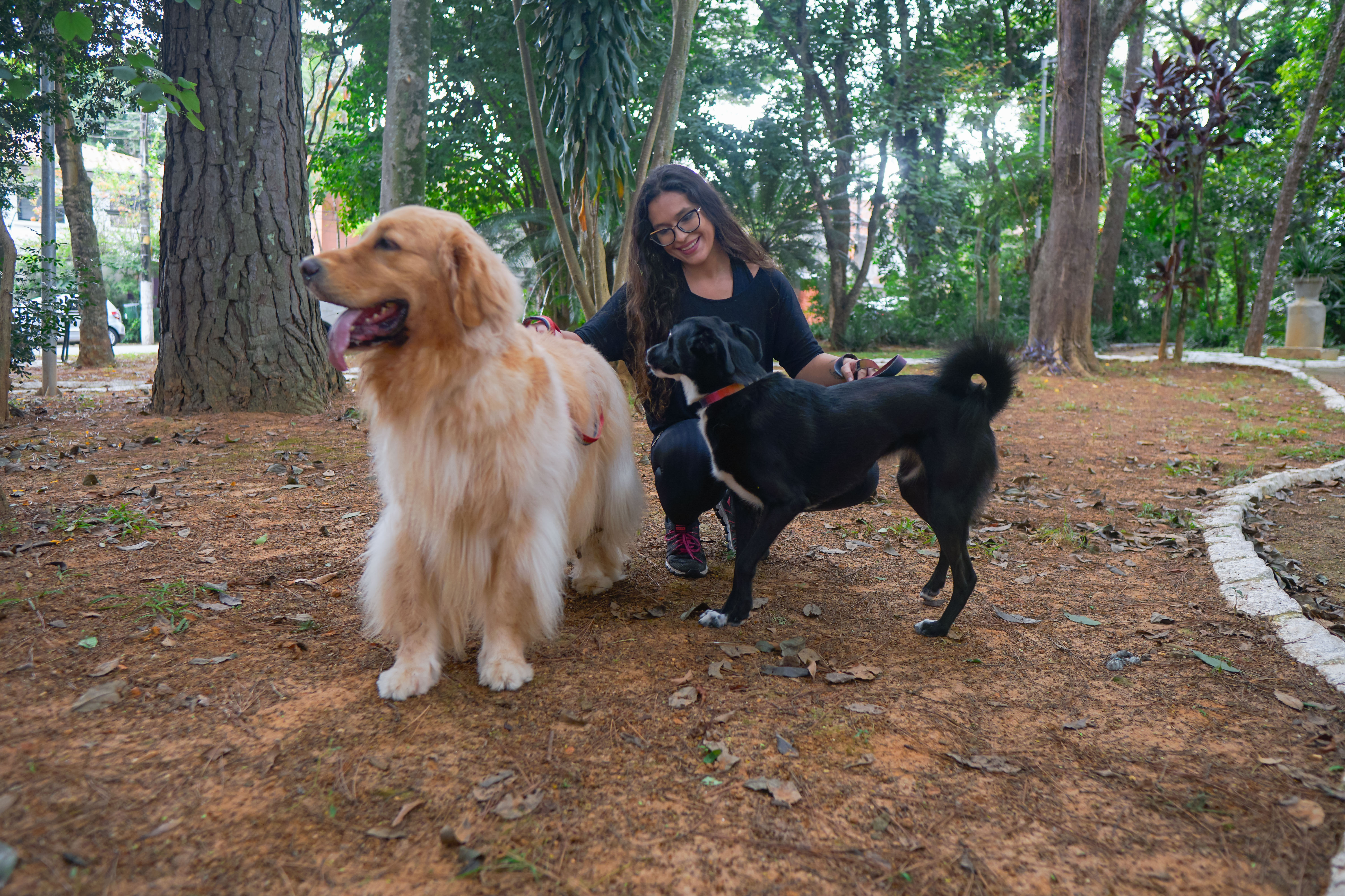 Galeria Mariana Salvatore