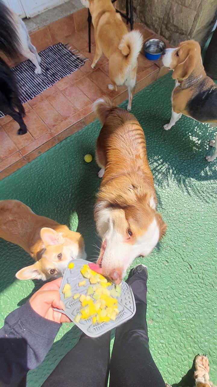 Trabalho de Rayssa Oliveira — foto 2