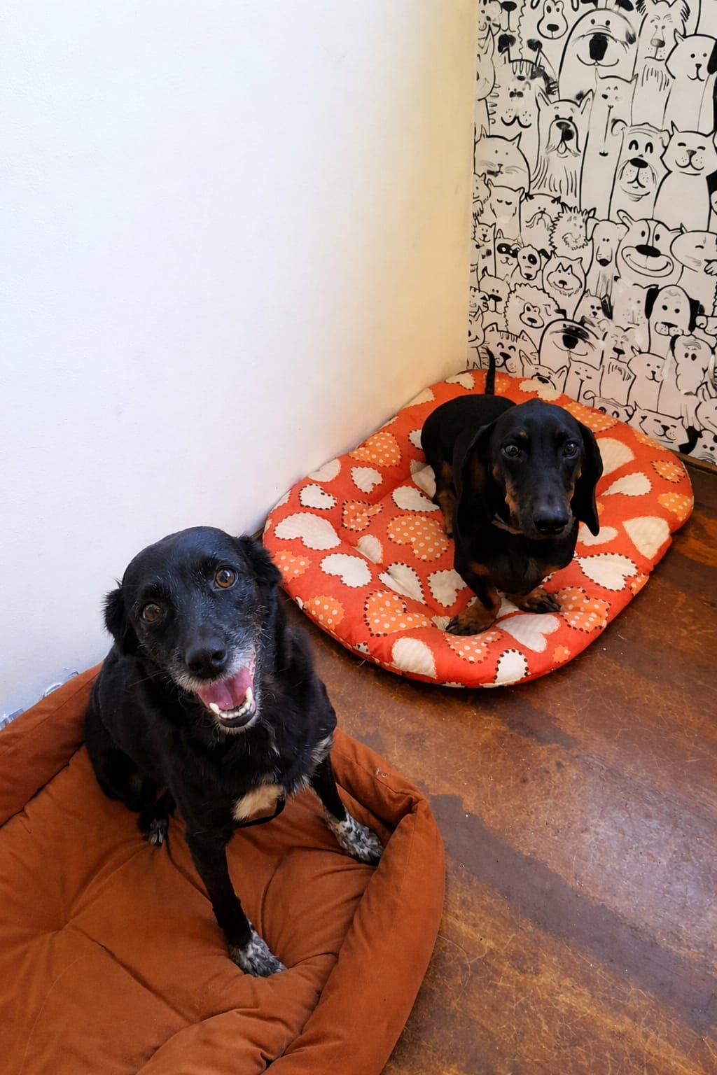 Galeria GISLENE HARUMI SATO