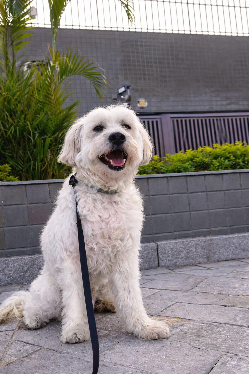 Galeria GISLENE HARUMI SATO