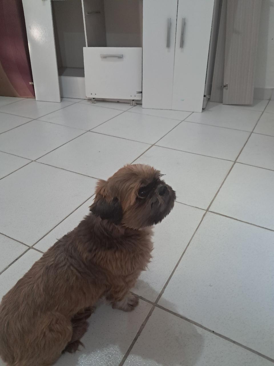 Trabalho de Janaina Oliveira — foto 9