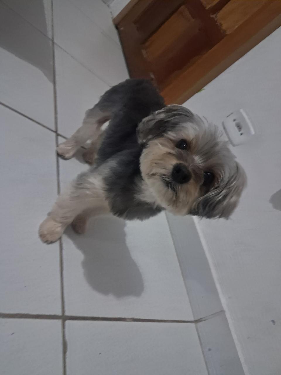 Trabalho de Janaina Oliveira — foto 10