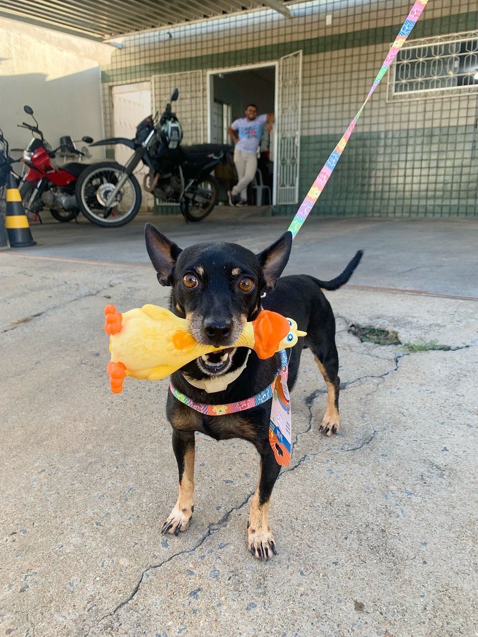 Trabalho de Nayara Almeida — foto 8