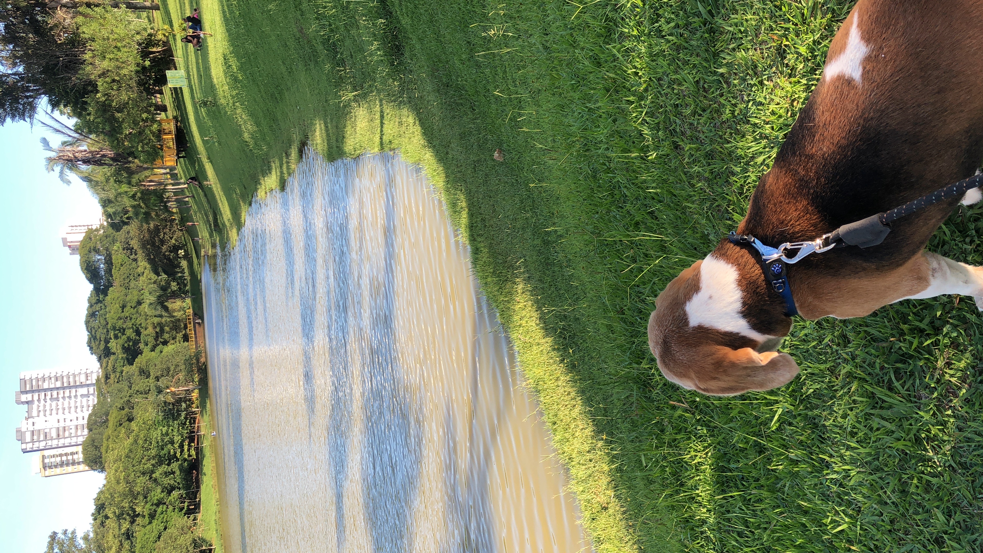 Galeria Nina Rosa de Luca Siqueira