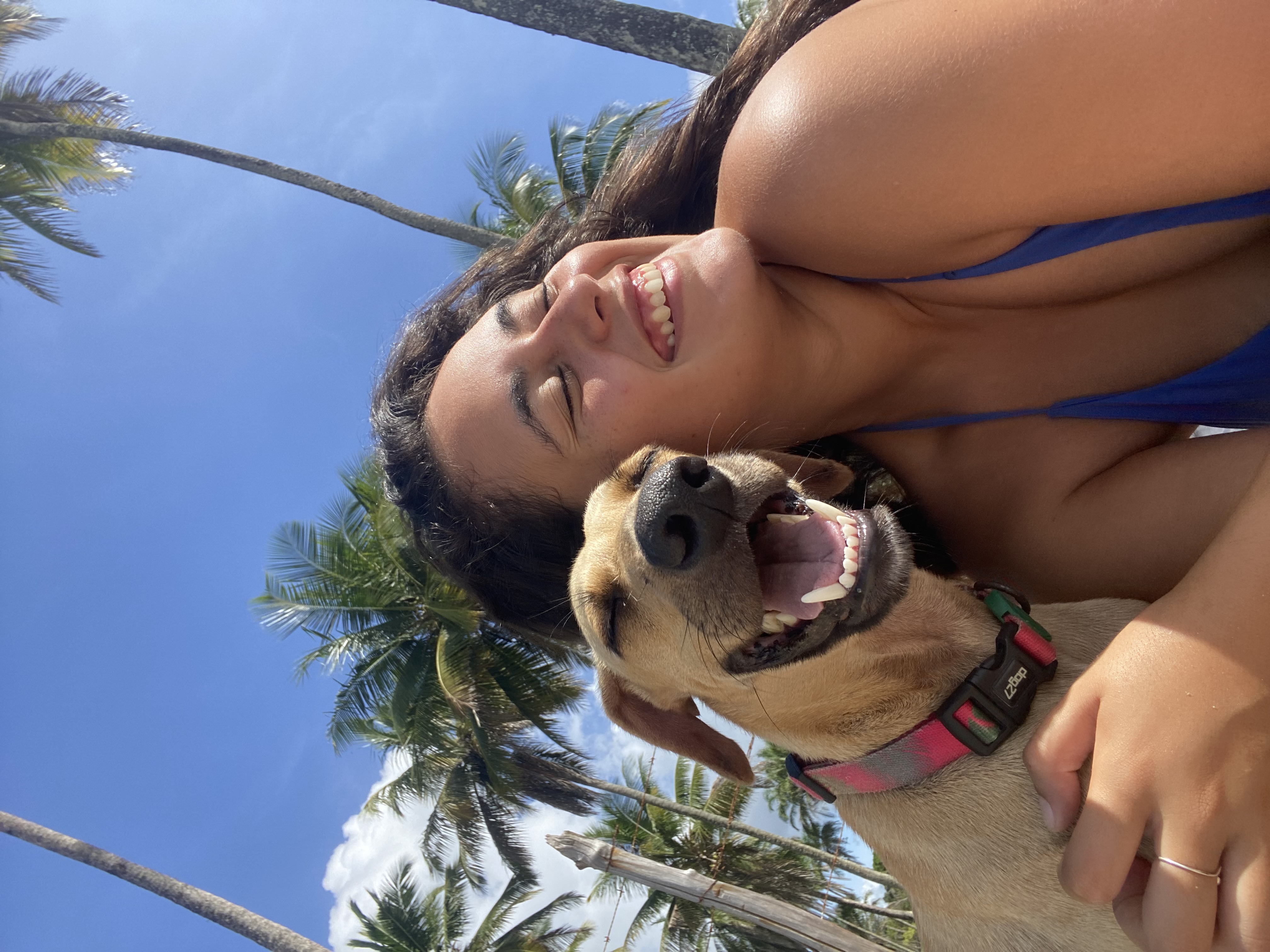 Trabalho de Márcia Xavier — foto 3