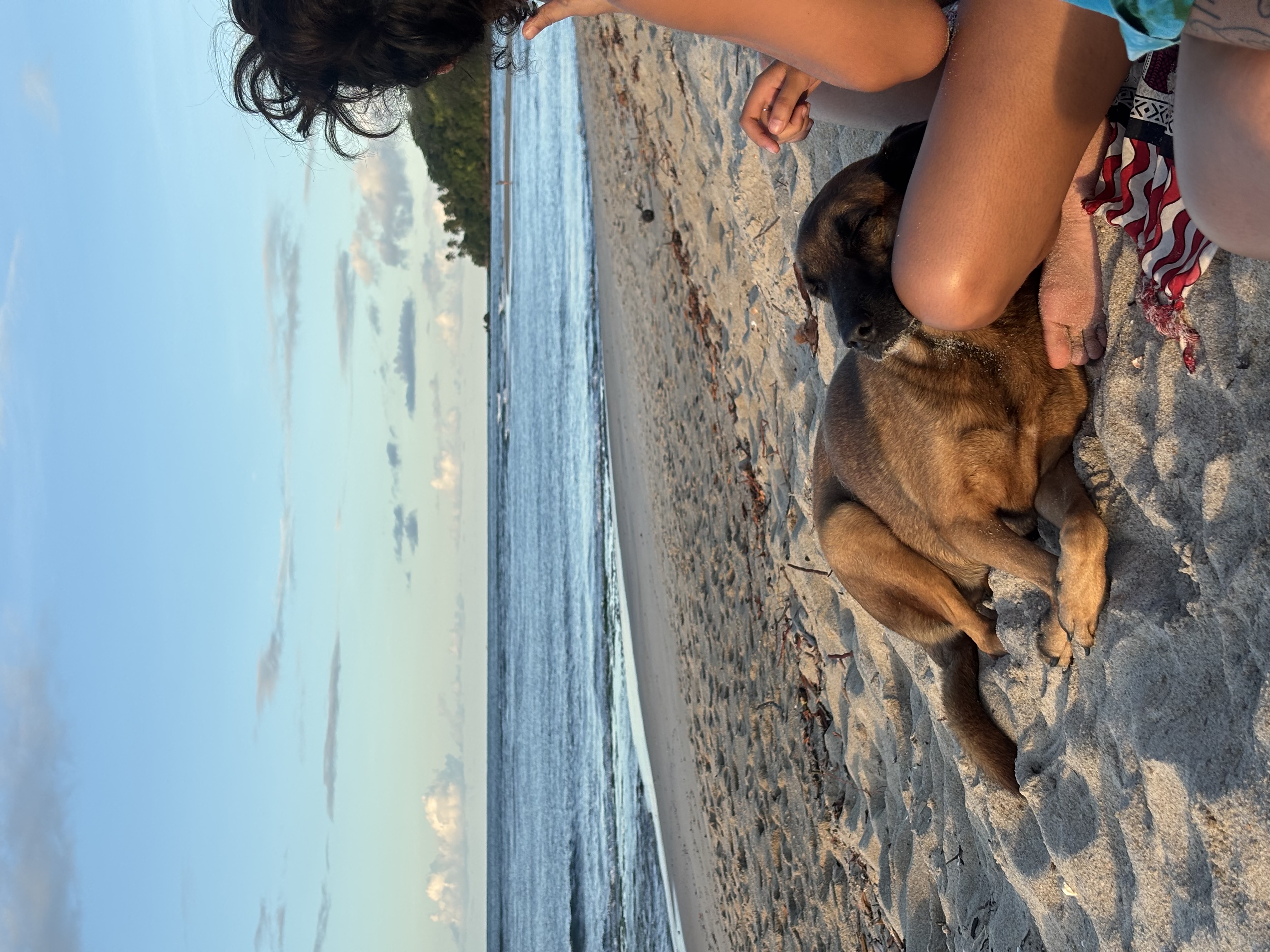 Trabalho de Márcia Xavier — foto 9